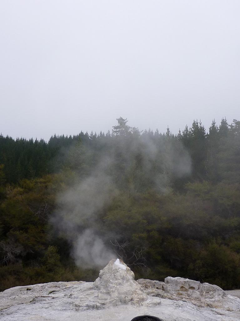 New_Zealand (997).JPG